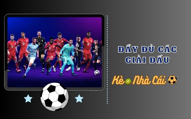 Bao phủ đầy đủ mọi giải đấu