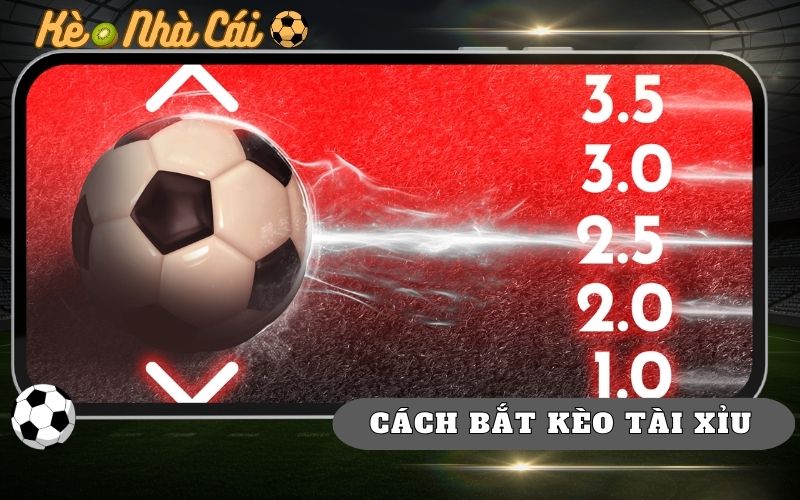 Bí Quyết Bắt Kèo Tài Xỉu Hiệu Quả Từ Bet Thủ Cao Tay 7 Bí Quyết Bắt Kèo Tài Xỉu Hiệu Quả Từ Bet Thủ Cao Tay