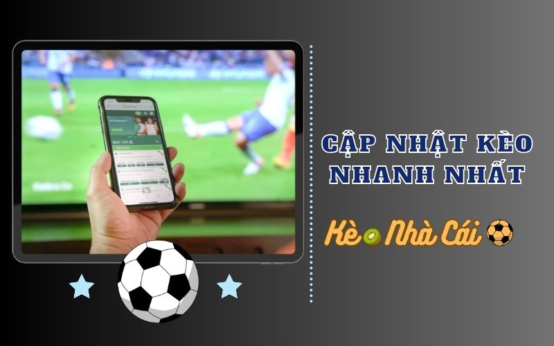 Cập nhật nhanh, bám sát từng biến động của thị trường